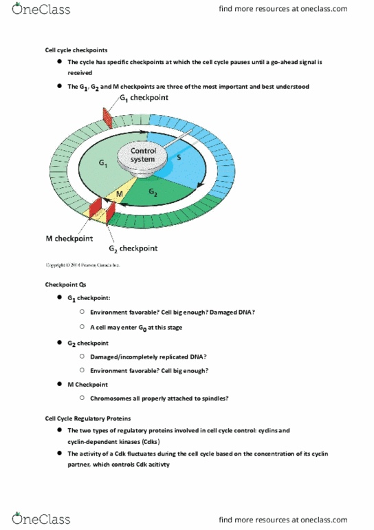 BIOL107 Lecture Notes - Lecture 14: Cell Cycle thumbnail