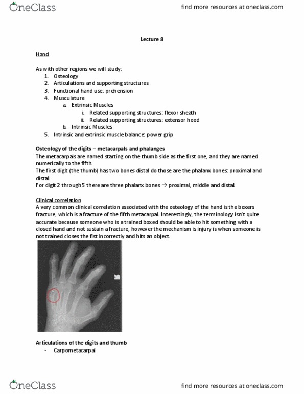 SAR HS 369 Lecture Notes - Lecture 9: Phalanx Bone, Metacarpal Bones, Osteology thumbnail