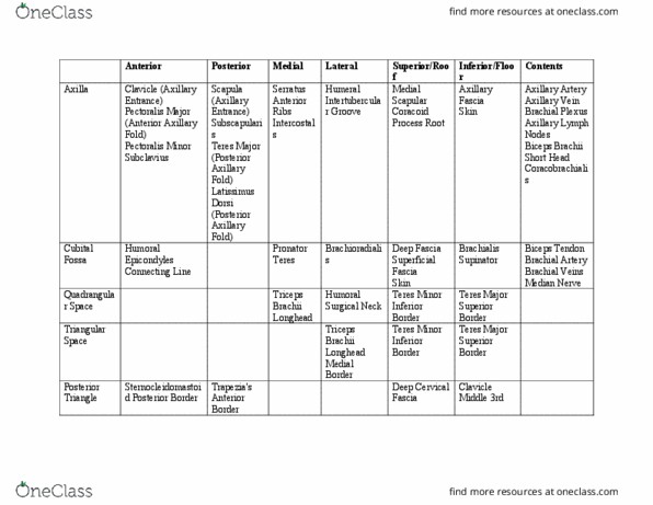 HLSC 4015C Chapter Notes - Chapter 2: Pectoralis Major Muscle, Biceps, Epicondyle thumbnail