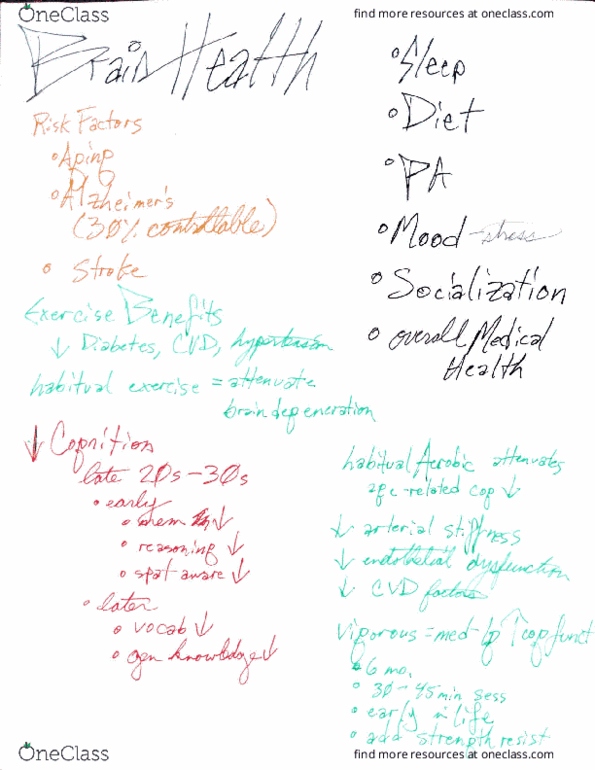 HLSC 4015C Lecture 12: brain health notes thumbnail