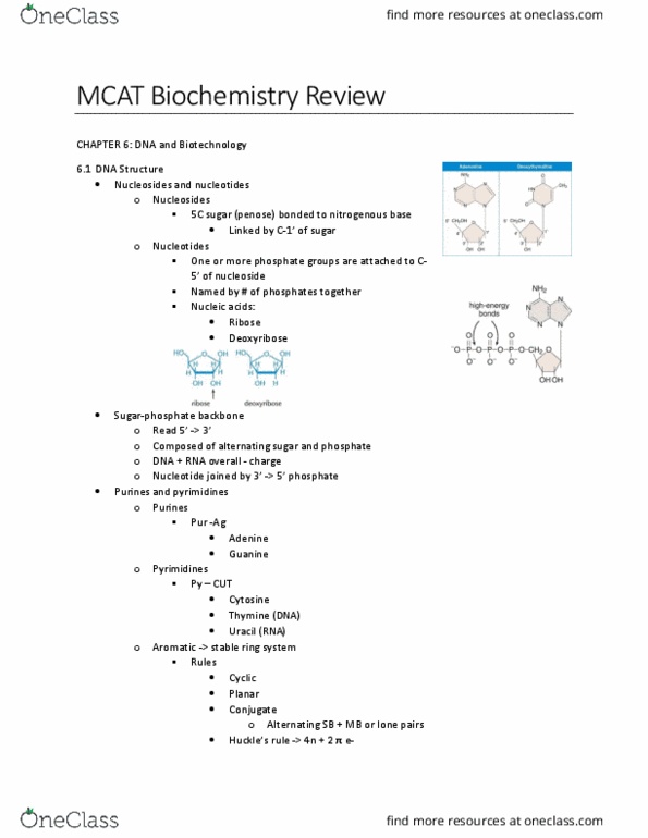 Biochemistry 2280A Chapter Notes - Chapter 6: Histone H2B, Nitrogenous Base, G2 Phase thumbnail