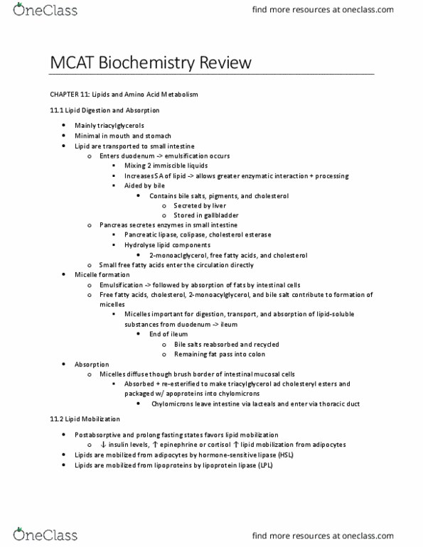 Biochemistry 2280A Chapter Notes - Chapter 11: Rate Limiting, De Novo Synthesis, Emulsion thumbnail