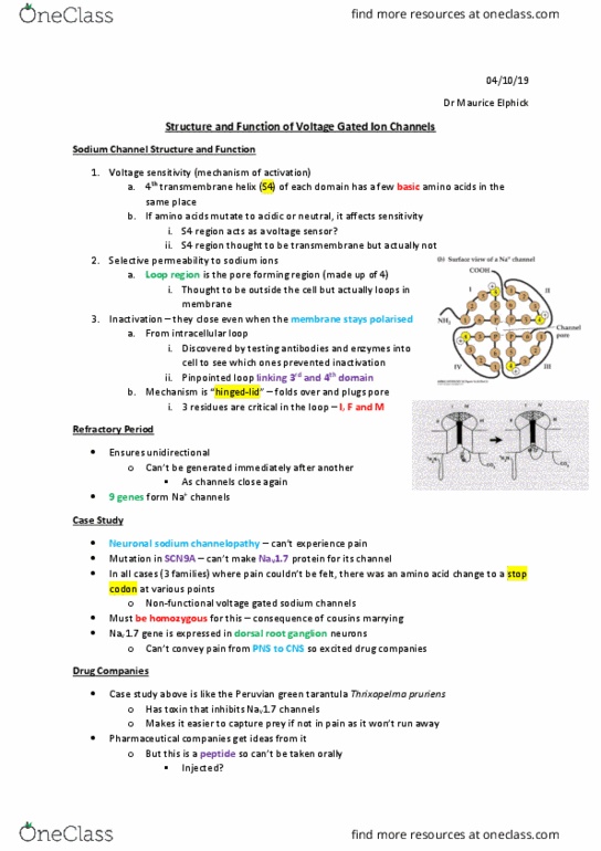 ACCTG 1 Lecture Notes - Lecture 38: Dorsal Root Ganglion, Nav1.7, Channelopathy thumbnail