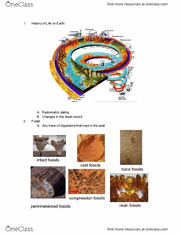 BILD 3 Lecture Notes - Lecture 10: Radiometric Dating, Mesozoic, Paleozoic thumbnail
