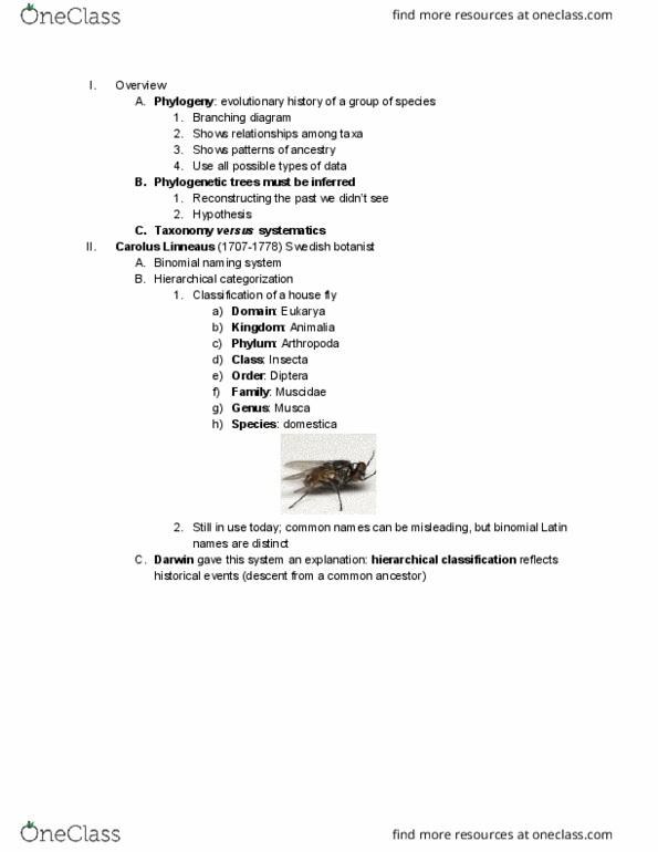 BILD 3 Lecture Notes - Lecture 12: Muscidae, Insect, Carl Linnaeus thumbnail