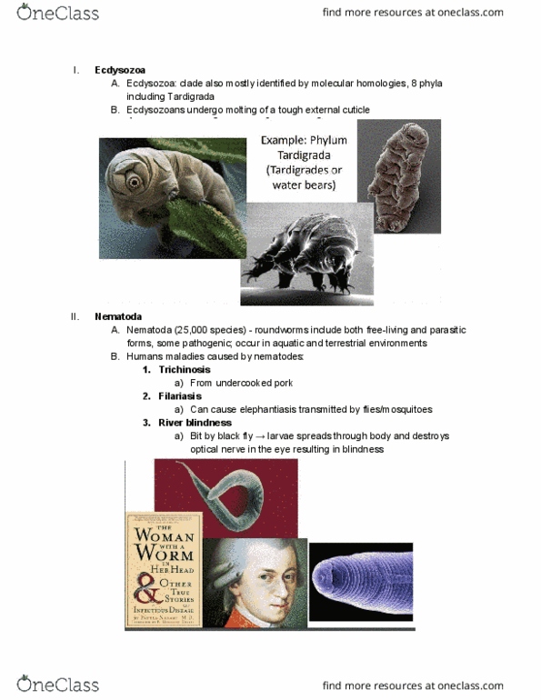 BILD 3 Lecture Notes - Lecture 15: Optic Nerve, Tardigrade, Ecdysozoa thumbnail