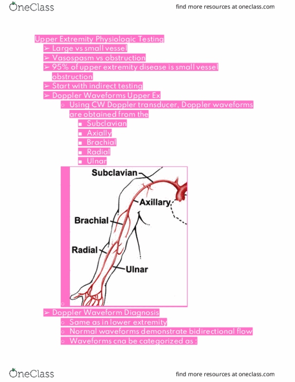 RIU 436 Lecture Notes - Lecture 18: Vasospasm, Ulnar Nerve, Brachial Artery thumbnail