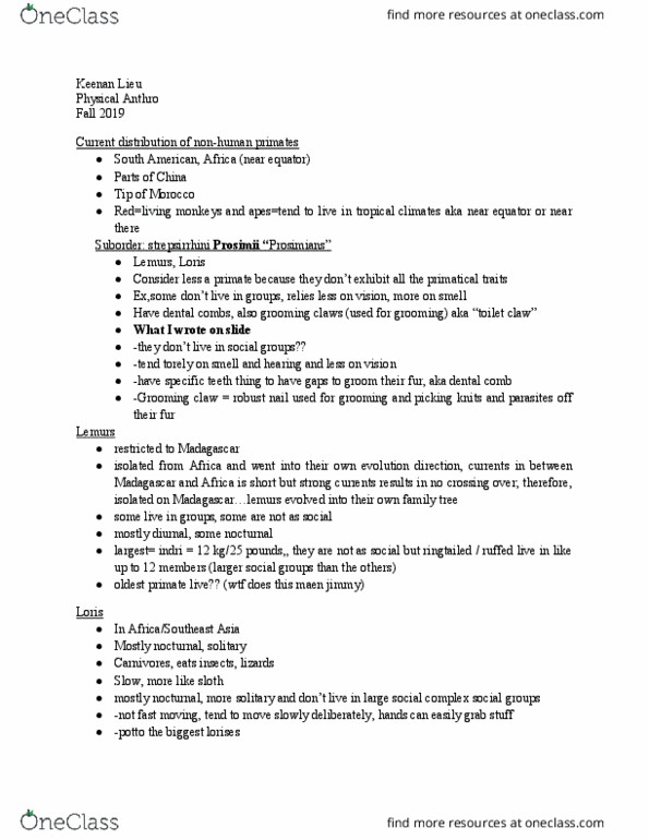 ANT-1 Lecture Notes - Lecture 27: Grooming Claw, Strepsirrhini, Potto thumbnail