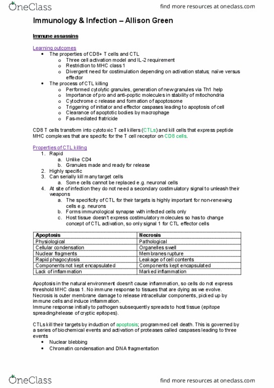 ACCT 210 Lecture Notes - Lecture 20: Cytosol, Fas Ligand, Caspase 8 thumbnail