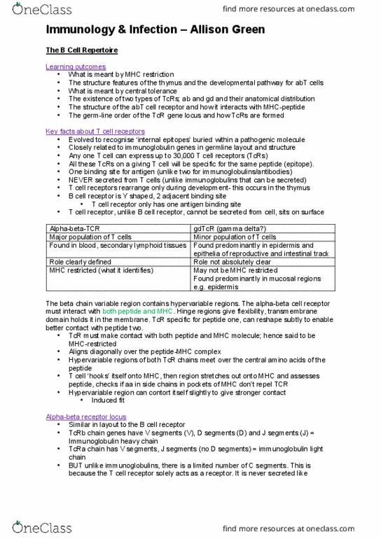 ACCT 210 Lecture Notes - Lecture 32: Stem-Loop, Mhc Class I, Chromatin thumbnail