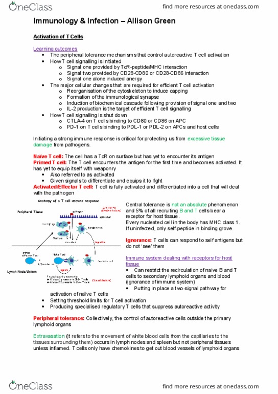 DANCEST 805 Lecture Notes - Lecture 15: Immunotherapy, Ccl21, Peripheral Tolerance thumbnail