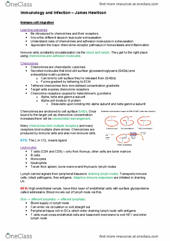 DANCEST 805 Lecture Notes - Lecture 20: Immunoglobulin Superfamily, Helminths, Addressin thumbnail