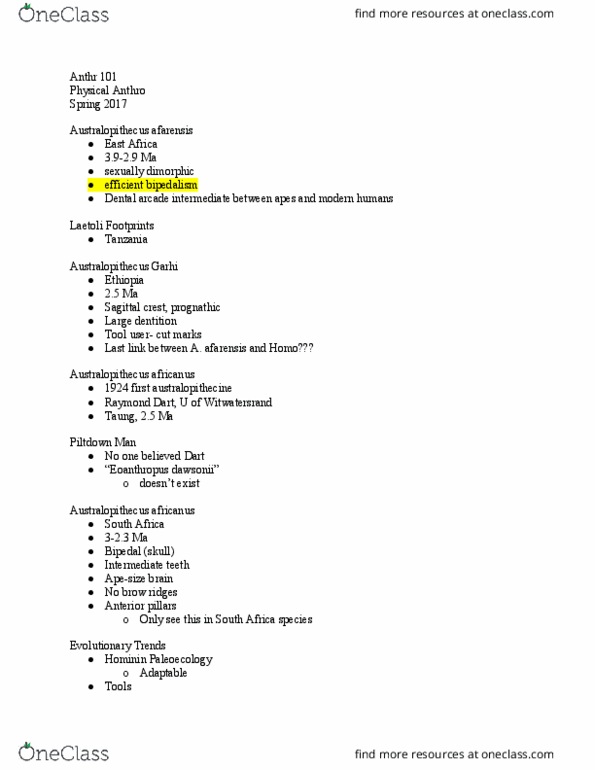 ANTHR 101 Lecture Notes - Lecture 25: Shoulder Joint, Kenyanthropus, Australopithecus Afarensis thumbnail