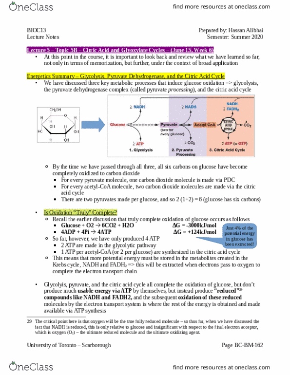 BIOC13H3 Lecture Notes - Lecture 5: Pyruvate Dehydrogenase Complex, Glyoxylic Acid, Pyruvic Acid thumbnail