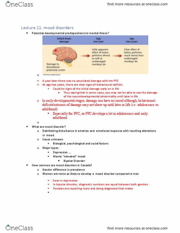 NEUR 3502 Lecture Notes - Lecture 11: Mood Disorder, Etiology, Serotonergic thumbnail