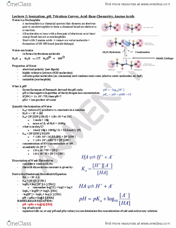 BCH210H1 Lecture Notes - Pi Bond, Chemical Bond, Acid Dissociation Constant thumbnail