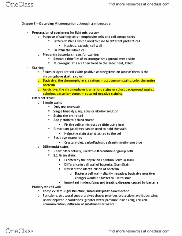 BIOL 2100 Lecture Notes - Lecture 3: Gram Staining, Methylene Blue, Crystal Violet thumbnail