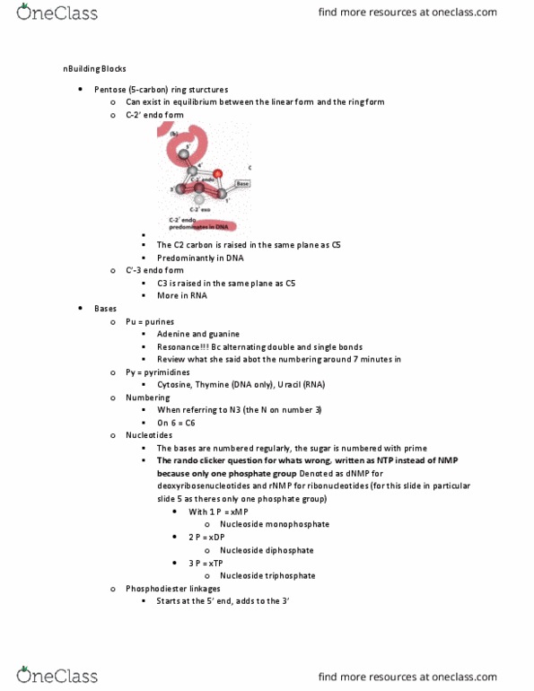 MBB 331 Lecture Notes - Lecture 2: Methylation, Nucleoside, Agarose thumbnail