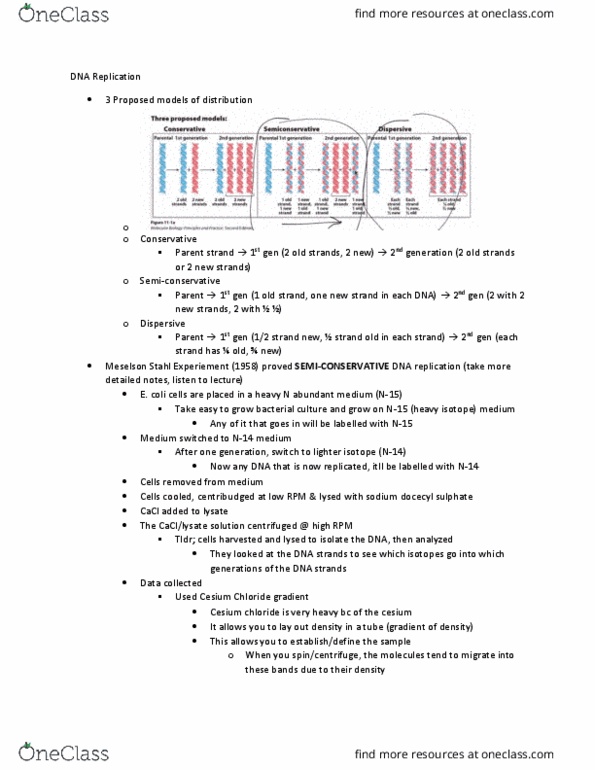 document preview image