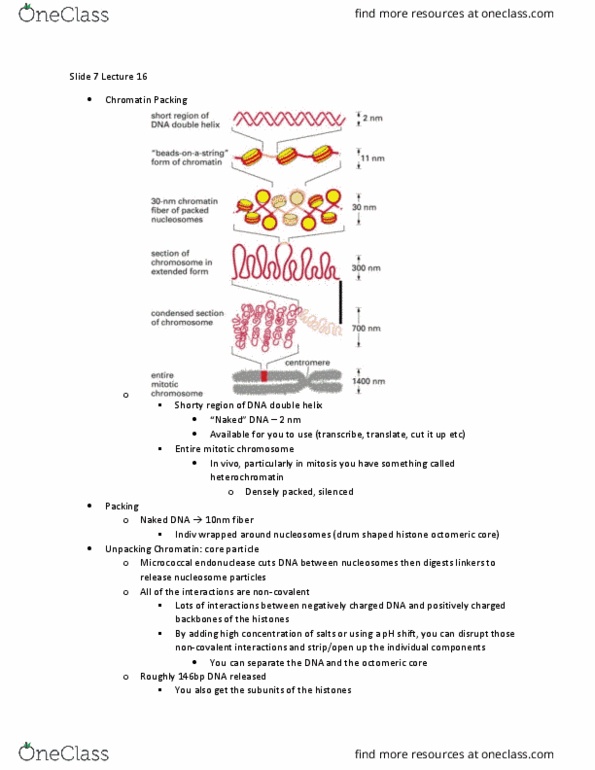 document preview image