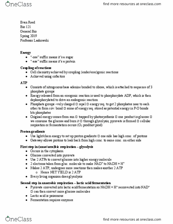 BIO 121 Lecture Notes - Lecture 5: Endergonic Reaction, Exergonic Reaction, Cellular Respiration thumbnail