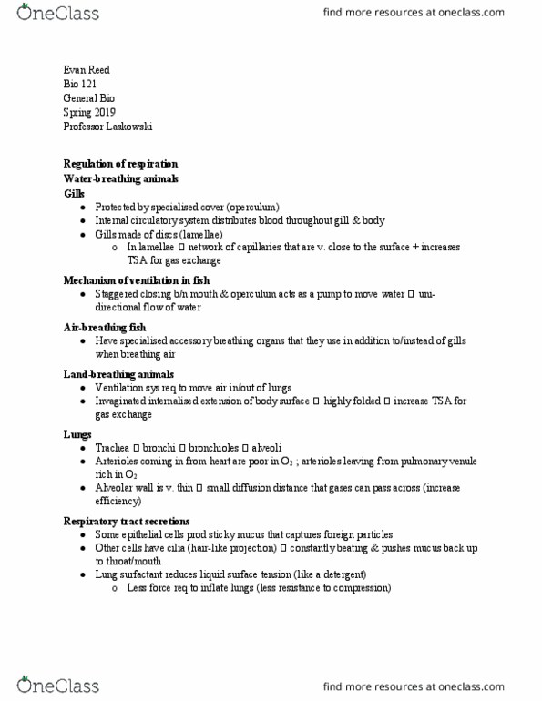 BIO 121 Lecture Notes - Lecture 20: Surface Tension, Venule, Fetal Hemoglobin thumbnail