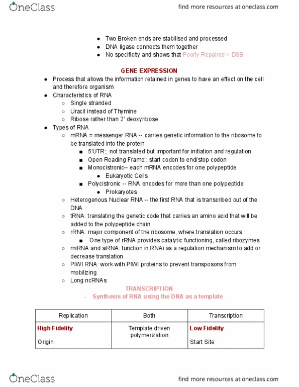 BIOS 20175 Lecture Notes - Lecture 10: Microrna, Small Interfering Rna, Start Codon thumbnail