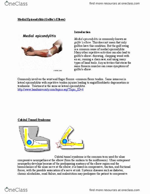 BSC 1085C Lecture Notes - Lecture 3: Anconeus Muscle, Radiculopathy, Grip Strength thumbnail