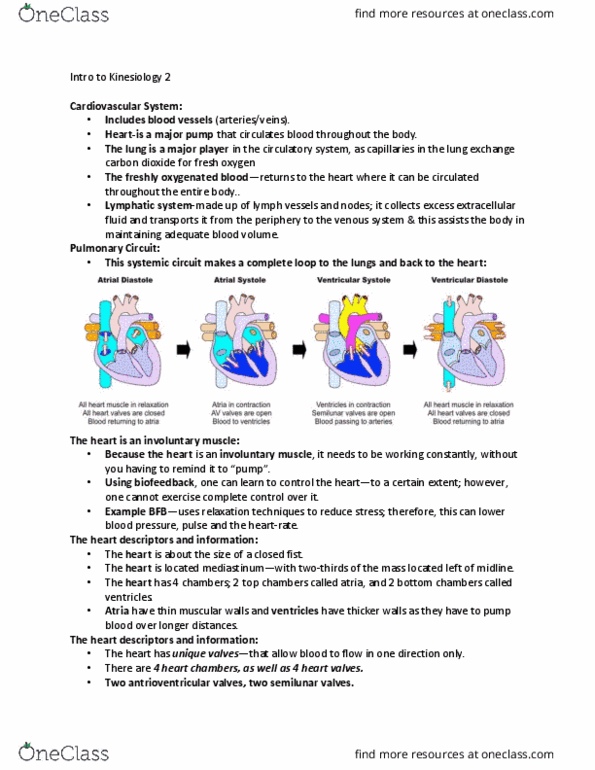 BSC 1085C Lecture Notes - Lecture 12: Cardiac Muscle, Heart Sounds, Biofeedback thumbnail