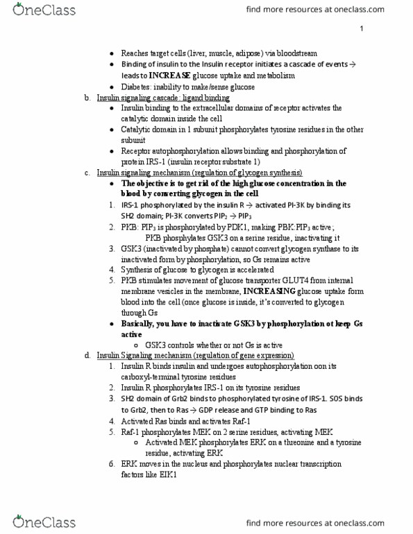 BIOL 4376 Lecture Notes - Lecture 53: Sh2 Domain, C-Raf, Glycogen Synthase thumbnail