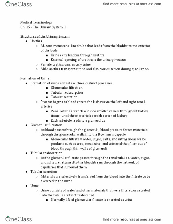 BIOL 212 Lecture Notes - Lecture 15: Creatinine, Urinary Meatus, Renal Artery thumbnail