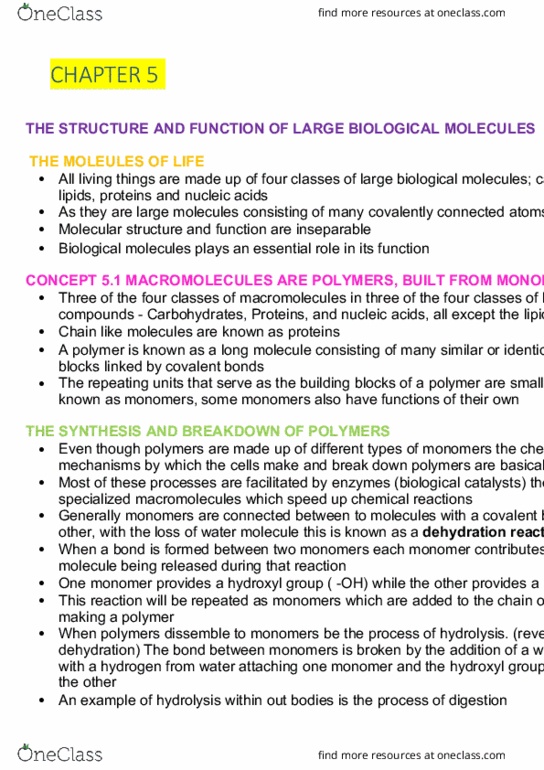 AGRC1020 Lecture Notes - Lecture 4: Covalent Bond, Dehydration Reaction, Monome thumbnail