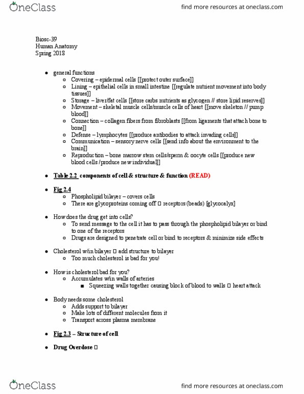 BIOSC-139 Lecture Notes - Lecture 3: Nociceptor, Antibody, Cytosol thumbnail