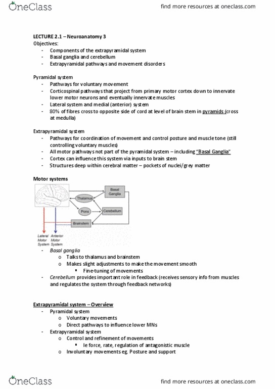 ANAT30007 Lecture Notes - Lecture 4: Lentiform Nucleus, Red Nucleus, Hierarchical Organization thumbnail