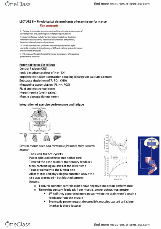 PHYS30005 Lecture Notes - Lecture 8: Hematocrit, Hyperthermia, Histidine thumbnail