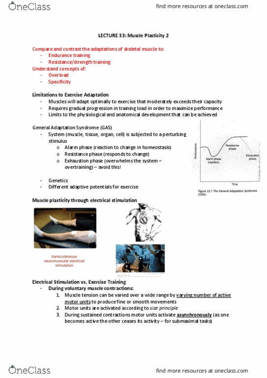 PHYS30005 Lecture Notes - Lecture 33: Motor Unit, Skeletal Muscle, Overtraining thumbnail