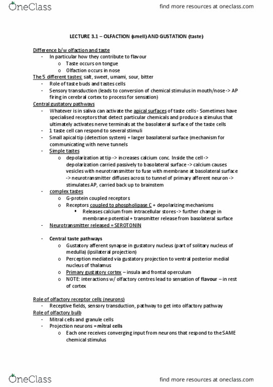 NEUR30003 Lecture Notes - Lecture 7: Amygdala, Sucrose, Ventral Posteromedial Nucleus thumbnail