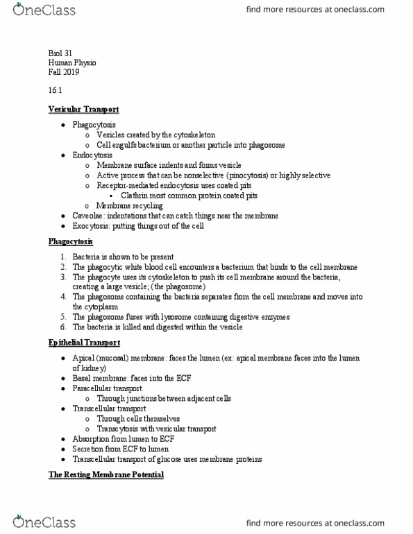 BIOL 031 Lecture Notes - Lecture 31: Caveolae, Phagosome, Resting Potential thumbnail