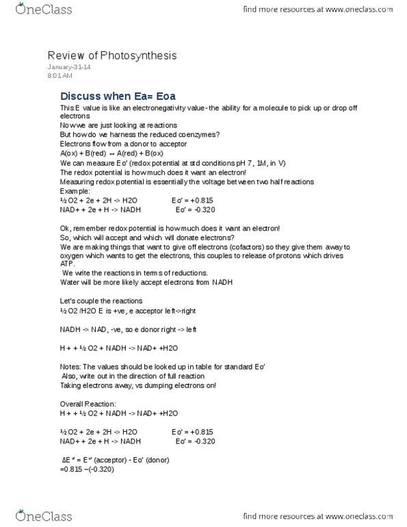 BCHM 3P01 Lecture Notes - Reduction Potential, Electronegativity, Nicotinamide Adenine Dinucleotide thumbnail