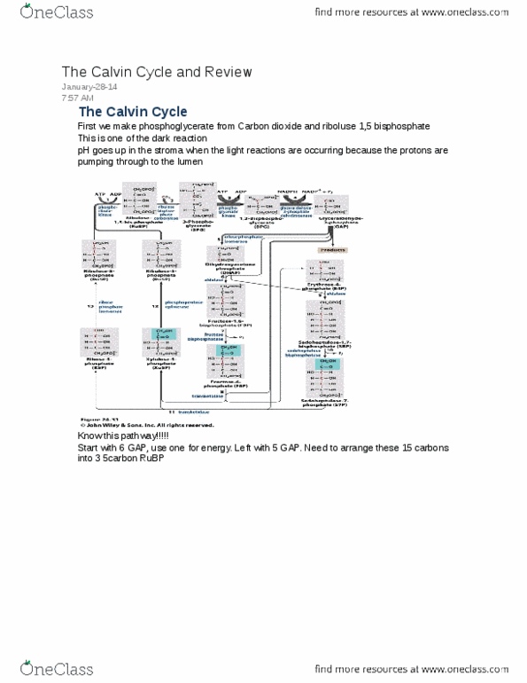 document preview image