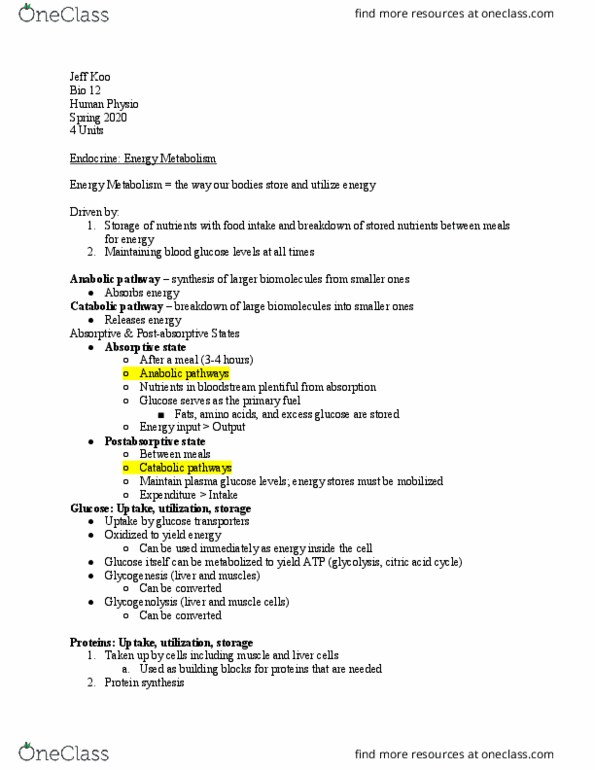 BIO 12 Lecture 31: Bio_12_-_Human_Physio_-_31 thumbnail