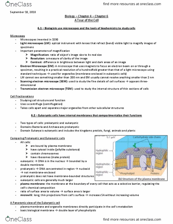BIO152H5 Lecture Notes - Lecture 4: Scanning Electron Microscope, Cell Membrane, Optical Instrument thumbnail