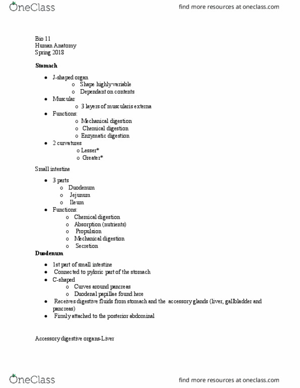 BIO 11 Lecture Notes - Lecture 12: Pylorus, Common Hepatic Duct, Porta Hepatis thumbnail