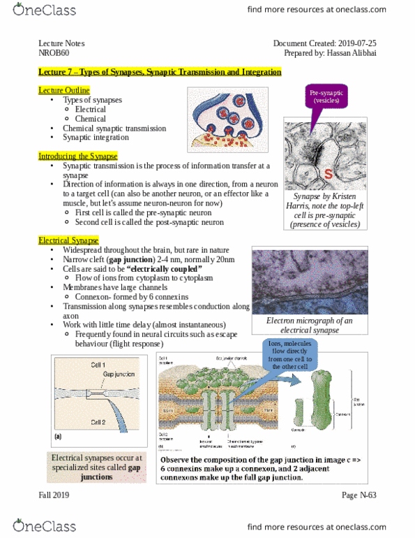 NROB60H3 Lecture Notes - Lecture 7: Electrical Synapse, Gap Junction, Connexon thumbnail