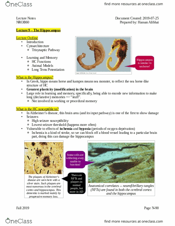 NROB60H3 Lecture Notes - Lecture 9: Neurofibrillary Tangle, Seizure Threshold, Sea Monster thumbnail