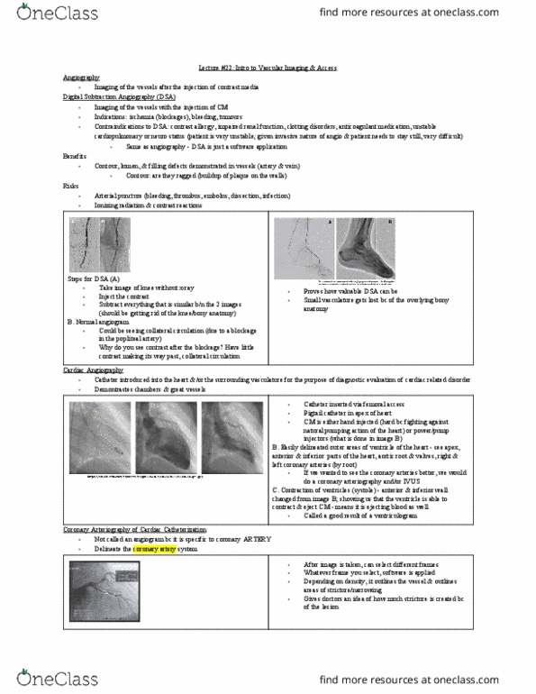 MEDRADSC 3C03 Lecture Notes - Lecture 22: Coronary Circulation, Popliteal Artery, Femoral Artery thumbnail