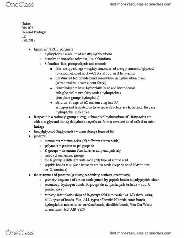 BIOL 102 Lecture Notes - Lecture 4: Carboxylic Acid, Peptide, Phospholipid thumbnail