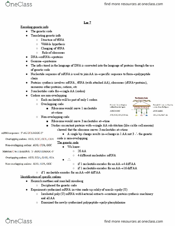 BIOB11H3 Lecture Notes - Dna Mismatch Repair, Inositol Trisphosphate, Prc2 thumbnail