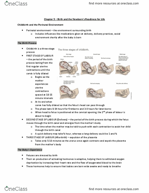 PS275 Chapter Notes - Chapter 5: Childbirth, Fetus, Heart Rate thumbnail