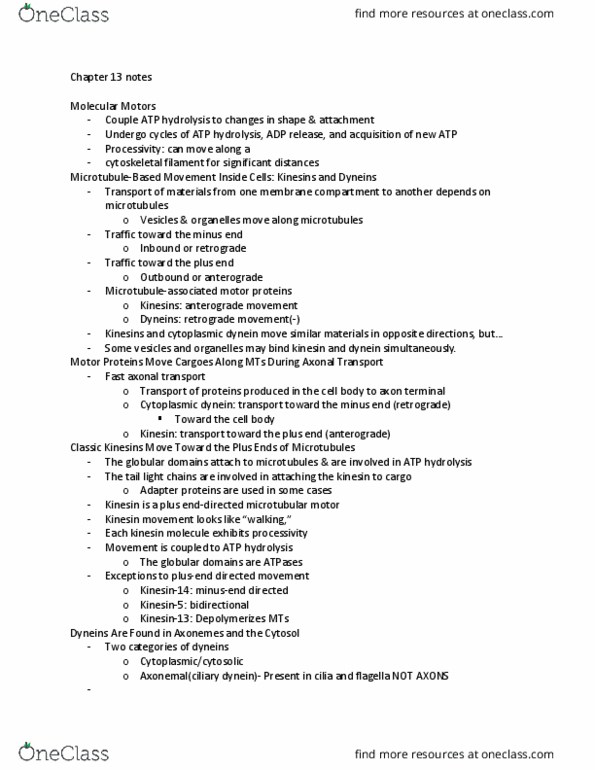 BSC 1010 Chapter Notes - Chapter 13: Axon Terminal, Cytoskeleton, Dynactin thumbnail